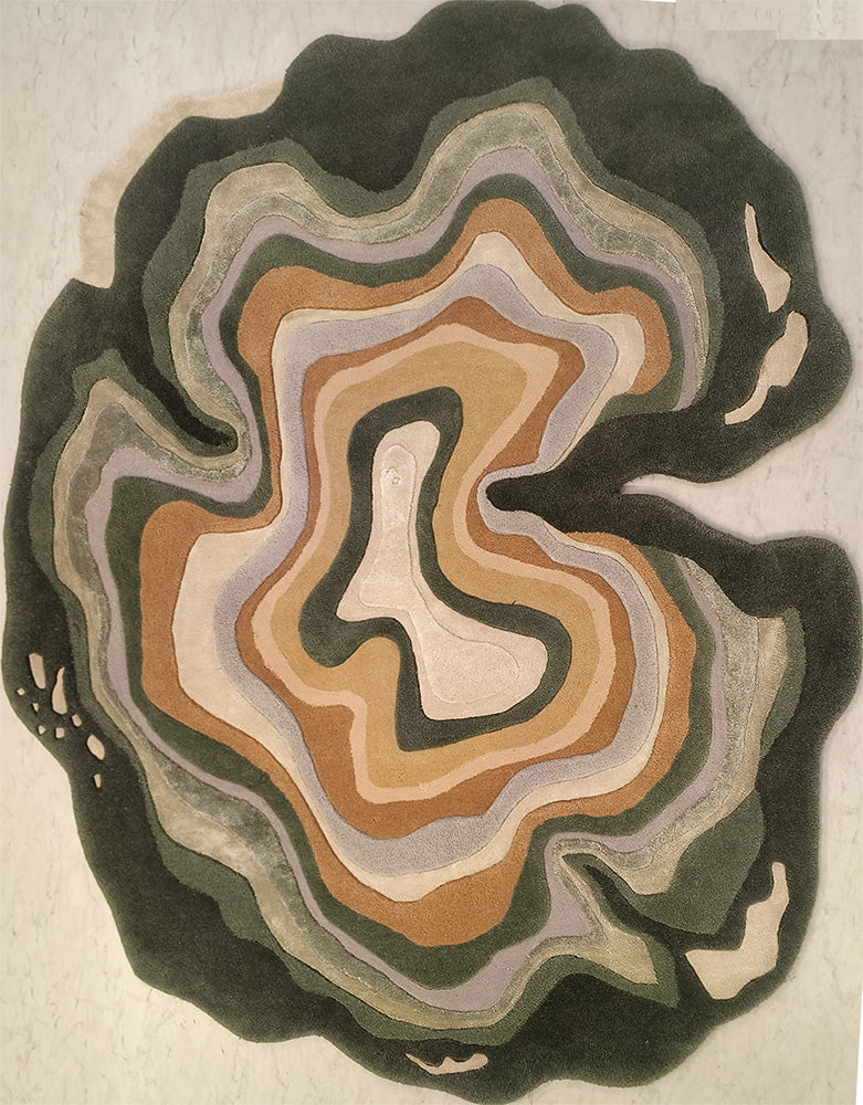Hand Tufted Wool, Viscose Rug 2