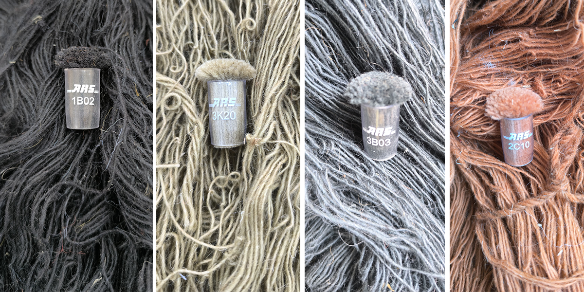 Dyed yarn and approved poms for precise rug color matching