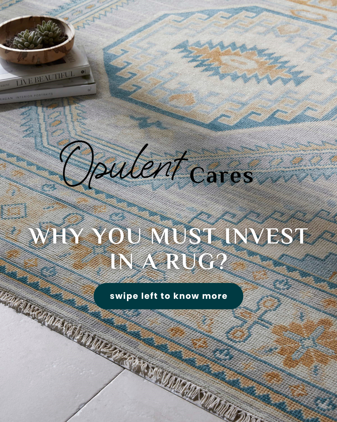 Why you must INVEST in a rug